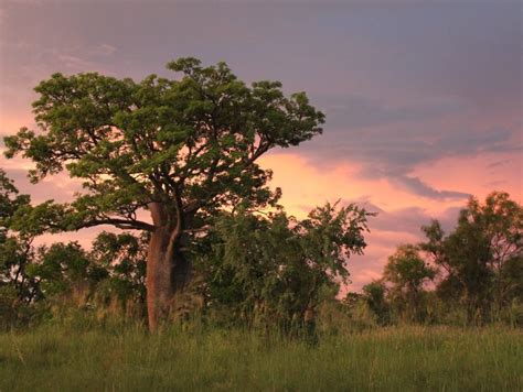 Junjuwa community .